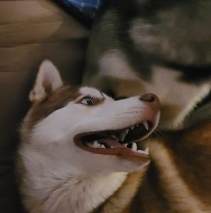 Meet your Posher, Jesse